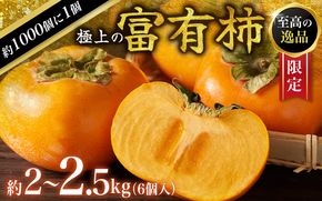 【先行予約】富有柿 2kg～2.5kg 6個入 至高の逸品 約1000個に１個！2026年10月末から11月末頃に順次発送予定（お届け日指定不可）/ 和歌山 柿 かき フルーツ 果物 くだもの 刀根 種無し【kgr013】