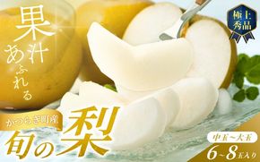【先行予約】旬の梨(幸水ー豊水ーあきづき) 極上秀品（中玉～大玉）6～8個入り2026年8月中旬～9月中旬頃に順次発送予定（お届け日指定不可）/ 和歌山 梨 フルーツ 果物 くだもの【kgr015】