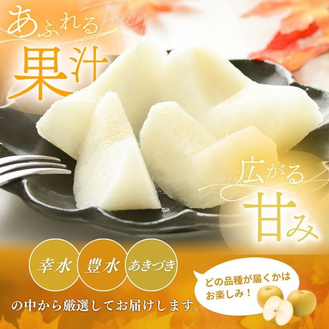 【先行予約】旬の梨(幸水ー豊水ーあきづき) 極上秀品（中玉～大玉）6～8個入り2026年8月中旬～9月中旬頃に順次発送予定（お届け日指定不可）/ 和歌山 梨 フルーツ 果物 くだもの【kgr015】