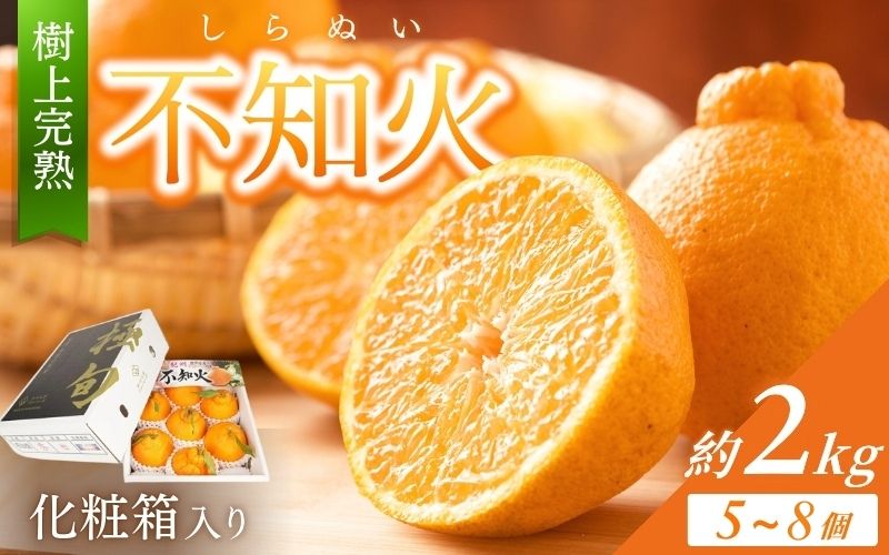 [先行予約][数量わずか]樹上完熟しらぬい(不知火) 5個~8個 秀品 2026年2月下旬〜2026年4月中旬頃に順次発送予定に順次発送予定(お届け日指定不可)/ 和歌山 みかん しらぬい 不知火 フ