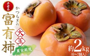 【先行予約】 富有柿 秀品6～7個入り こだわり農家厳選 【2025年10月下旬頃～2025年11月下旬頃に順次発送】/ 柿 かき 果物 フルーツ 富有柿 デザート おやつ 和菓子 菓子 お菓子 和歌【kgr019】