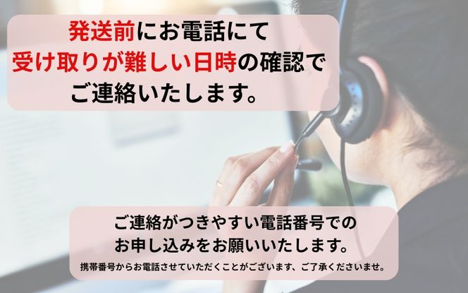 ＼朝どれ新鮮／ 鮮魚セット (小) 約3kg 目利きのプロが厳選した旬の魚をその日の内に発送！【nss404】