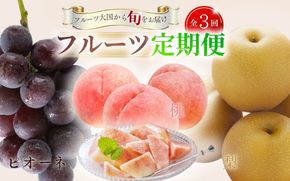 【全3回定期便】和歌山の旬のフルーツ定期便！人気の桃・ピオーネ・梨をお届け♪【tkb306】