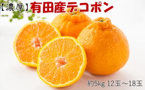 紀州 有田産 の大玉 デコポン 5kg （12玉～18玉入り・青秀以上） ※1月中旬～3月中旬頃順次発送 / みかん 果物 オレンジ 不知火 柑橘 【tec811B】