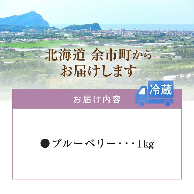 【先行予約：2026年8月上旬以降発送】フルーツ王国余市産 生ブルーベリー 1Kg【ニトリ観光果樹園】_Y074-0160