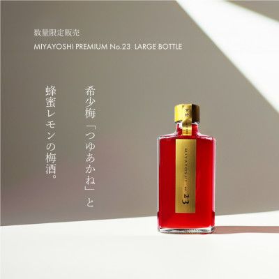 ya̎RLcsz1023.MIYAYOSHI No.23 LARGE BOTTLEiA1023-1j