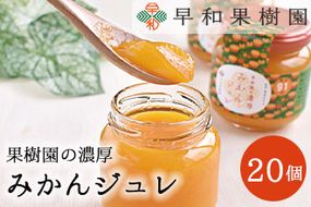 954.【早和果樹園】濃厚みかんジュレ（12個入）（A954-2）