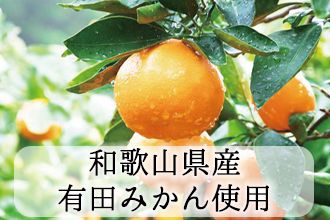 954.【早和果樹園】濃厚みかんジュレ（20個入）（A954-2）