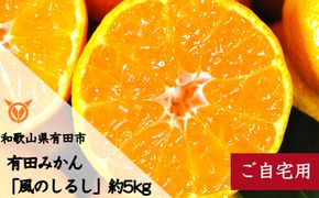 有田みかん「風のしるし」（約5kg）(A1051-1)