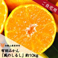 有田みかん「風のしるし」（約10kg）(A241-2)