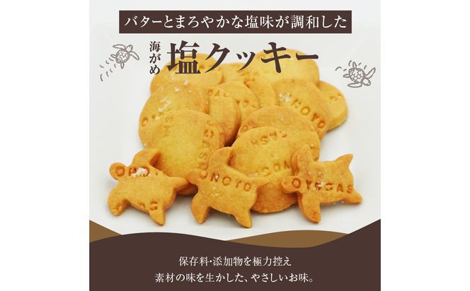 【J01018】海がめ塩クッキー充実BOX (57枚+子がめクッキー3枚) 箱入り