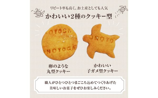 【J01018】海がめ塩クッキー充実BOX (57枚+子がめクッキー3枚) 箱入り