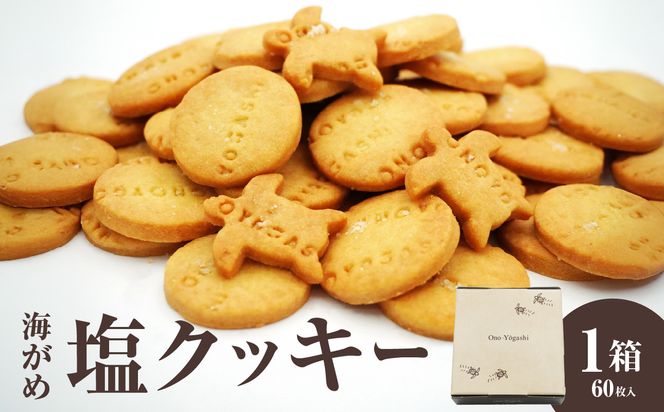 【J01018】海がめ塩クッキー充実BOX (57枚+子がめクッキー3枚) 箱入り