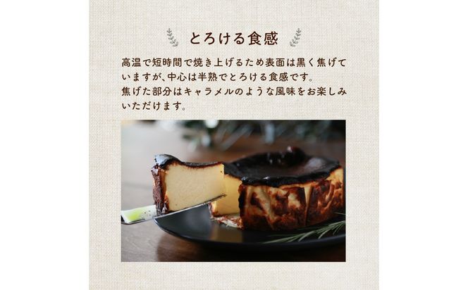 【J02004】濃厚とろけるバスクチーズケーキ 小麦粉不使用