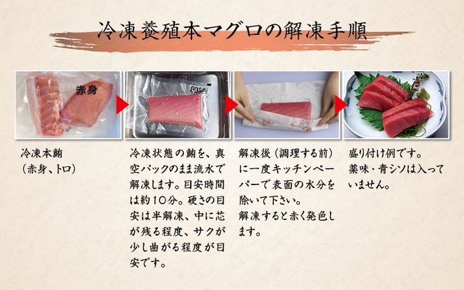 【期間限定 特別寄付額】本マグロ（養殖）トロ＆赤身セット 500g 【5月発送】高級 クロマグロ  中トロ 中とろ まぐろ 鮪 赤身 柵  【nks110B_cp-5】