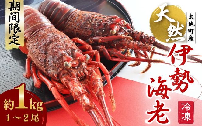 冷凍)伊勢海老｜魚介類(加工食品)