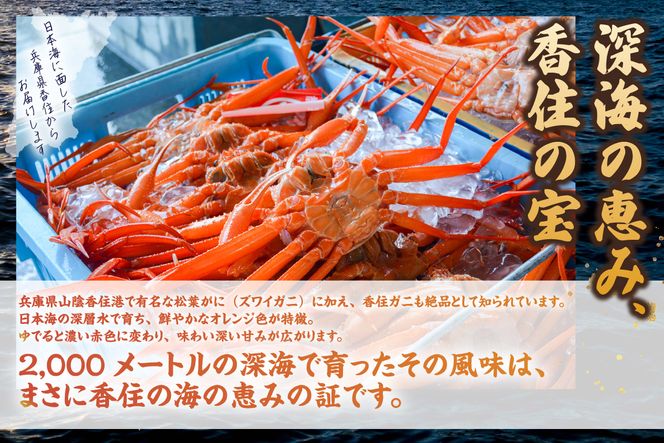 【カット済み香住ガニ（4肩・かにみそ10g×2、自家製カニ塩付き）】冷凍 カニの本場 香住 香住ガニ 足 爪 身 脚 ボイル かに カニ 蟹 紅ズワイガニ ふるさと納税 兵庫 香美 マルヤ 11-30