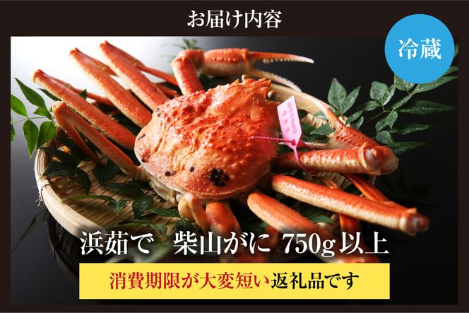 【先行予約】【カネニの浜茹で柴山がに 750g以上】令和7年11月中旬以降、水揚げ次第発送予定 冷蔵 高級 ふるさと納税 かにすき 焼きガニ カニ ボイル 兵庫 香美町 香住 柴山 カネニ 06-20