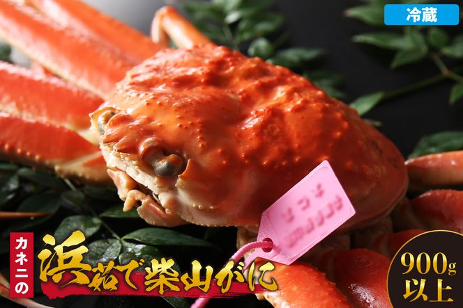 yɌzys\zyJlj̕l䥂ŎĎR 900gȏzߘa7N11{ȍ~Ag攭\ ①  ӂ邳Ɣ[ ɂ ĂKj Jj {C   Z ĎR Jlj 06-21