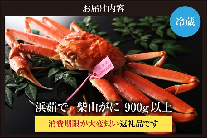 【先行予約】【カネニの浜茹で柴山がに 900g以上】令和7年11月中旬以降、水揚げ次第発送予定 冷蔵 高級 ふるさと納税 かにすき 焼きガニ カニ ボイル 兵庫 香美町 香住 柴山 カネニ 06-21