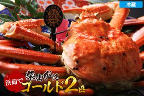 【先行予約】【浜茹で柴山ゴールド 柴山がに・ゴールドタグ付きが一度に2匹も揃う奇跡 冷蔵】 令和7年11月中旬以降、水揚げ次第順次発送予定 おすすめ 兵庫県 香美町 香住 柴山 カネニ 06-24