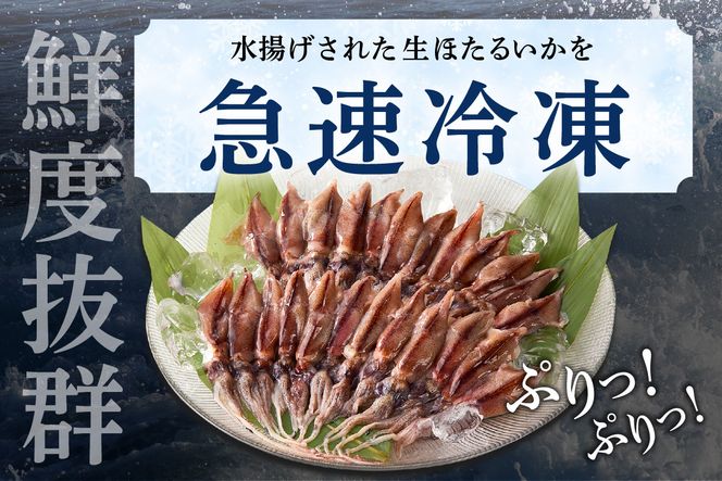 【訳あり ほたるいか 小分け 250g×4パック 1kg 香住産 冷凍】 刺身でも食べられる美味しいホタルイカ ホタルイカ 兵庫県 香美町 香住 07-95