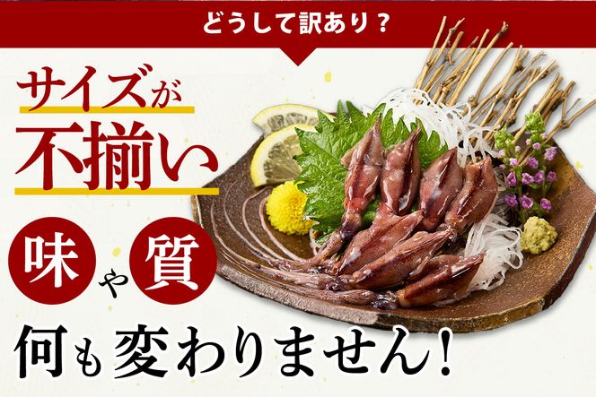 【訳あり ほたるいか 小分け 250g×4パック 1kg 香住産 冷凍】 刺身でも食べられる美味しいホタルイカ ホタルイカ 兵庫県 香美町 香住 07-95