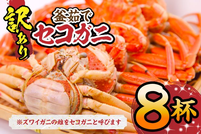 【セコガニ 訳あり（欠足 キズ 汚れなど）約120g×8匹 冷凍】R7.11月中旬以降順次発送 濃厚なカニ味噌とやみつきになる内子 外子が絶品 釜茹で 冷凍 07-09