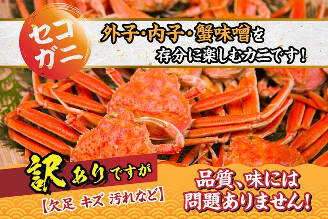 【セコガニ 訳あり（欠足 キズ 汚れなど）約120g×8匹 冷凍】R7.11月中旬以降順次発送 濃厚なカニ味噌とやみつきになる内子 外子が絶品 釜茹で 冷凍 07-09