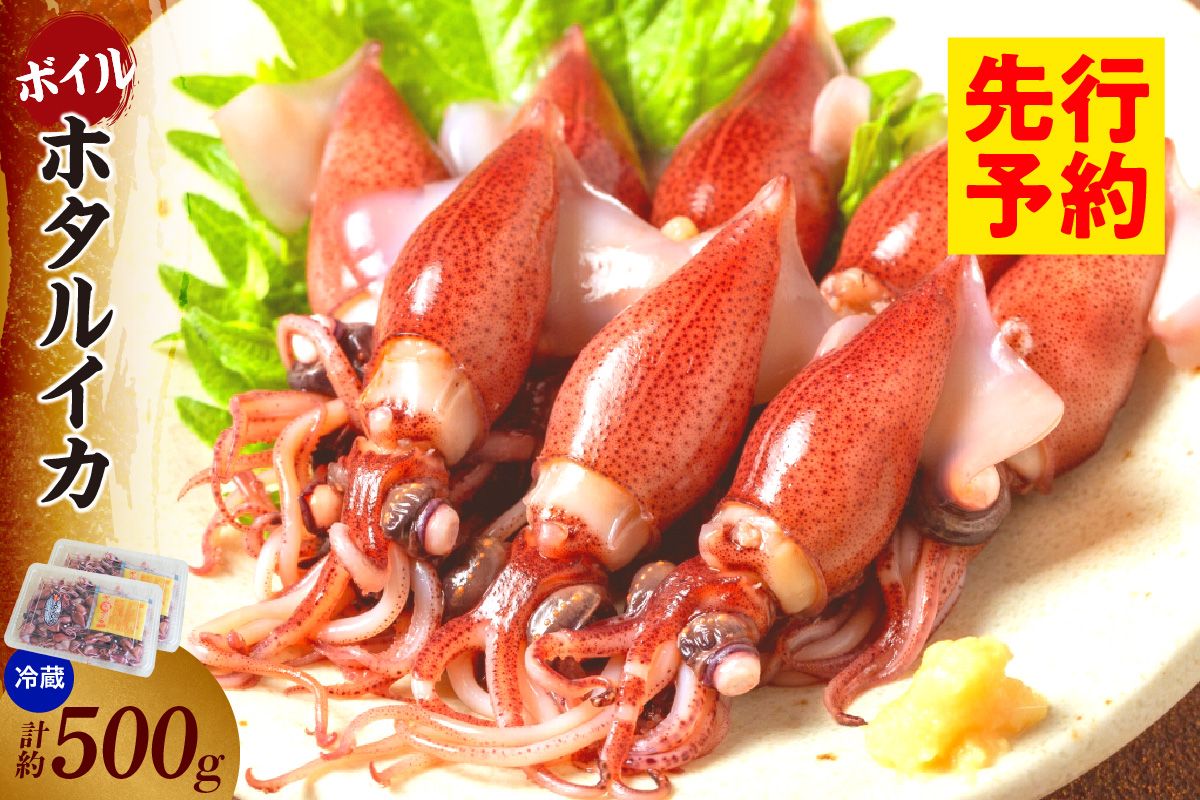 [ほたるいか 鮮度抜群 ボイル 小分け 250g×2パック 500g 酢味噌付 兵庫県産 冷蔵]令和8年3月以降順次発送予定 いか 香美町 香住 ふるさと納税 モリタ食品 6000円 10-13