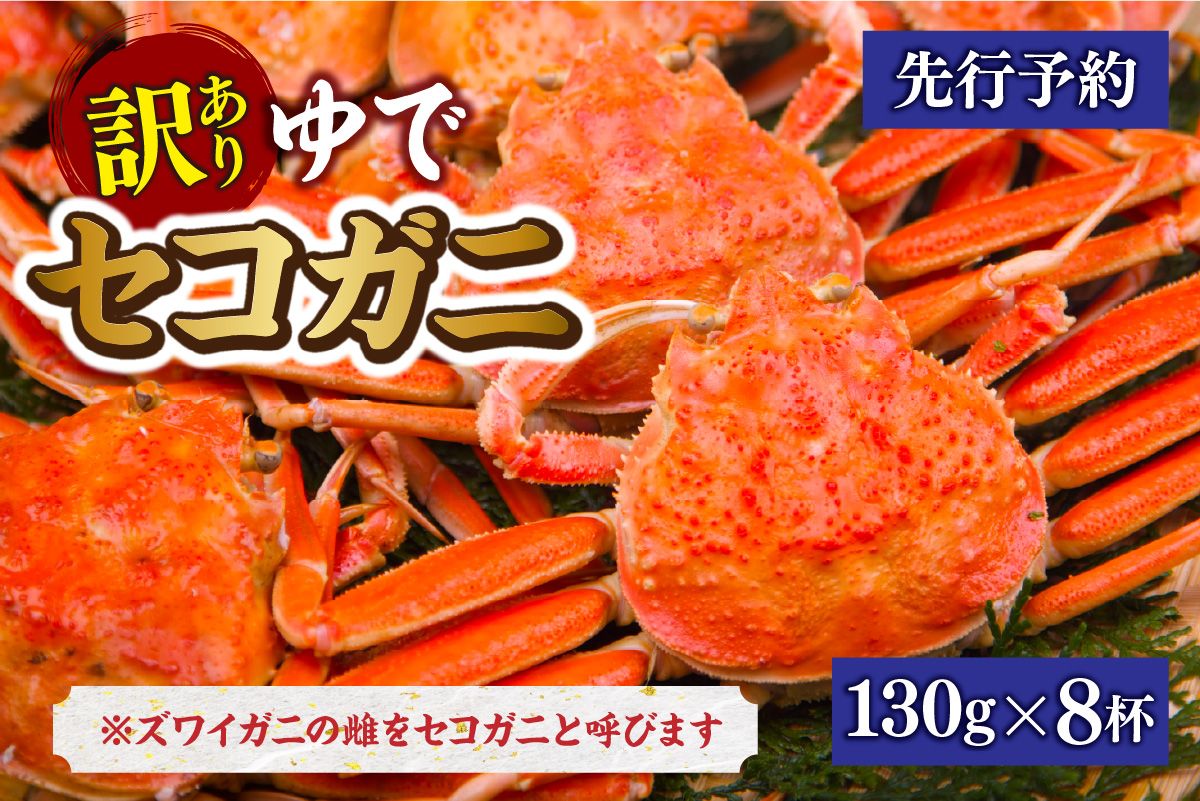[先行予約][訳あり 茹でセコガニ 約130g×8匹 冷蔵]令和7年11月中旬以降順次配送予定 かに 蟹 カニ 香住 柴山 ふるさと納税 兵庫県 香美町 マルヨ食品 マルヨダイレクト 17-14