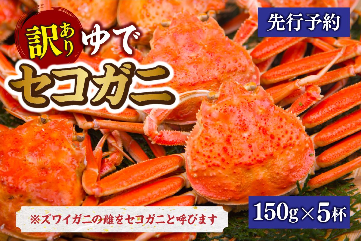 [先行予約][訳あり 茹でセコガニ 約150g×5匹 冷蔵]令和7年11月中旬以降順次発送予定 せこがに かに 蟹 カニ 香住 兵庫県 香美町 香住 柴山 マルヨ食品 マルヨダイレクト 17-33