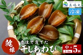 【干しあわび 5個入り 中サイズ 冷凍】発送目安：入金確認後2週間以内 国産 香住 山陰 アワビ 鮑 あわび 乾燥 乾燥あわび 干し鮑 中華料理 高級食材 縁起物 兵庫県 香美町 美嶋丸 20-17