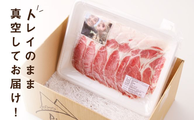 ≪放牧和豚≫ 肩ロース すき焼き専用 1mmスライス 300g K26_0028_1 