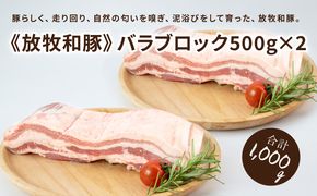 ≪放牧和豚≫　バラブロック 500g×2  【合計1kg】　K26_0030_2