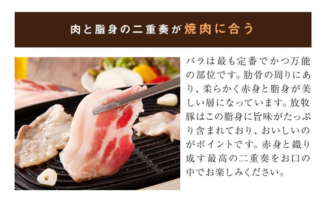 ≪放牧和豚≫　バラ焼き肉専用 5mmスライス 300g K26_0032_1