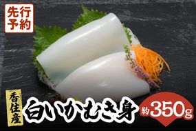 【先行予約】【刺身用白いかむき身　約350g 冷凍】令和7年6月以降順次発送予定 いか イカ 白いか 剣先イカ 刺身 新鮮 鮮度抜群 酒の肴 おつまみ 香美町 香住 宿院商店 22000円 33-32