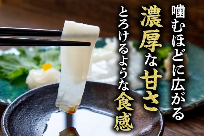 【先行予約】【刺身用白いかむき身　約350g 冷凍】令和7年6月以降順次発送予定 いか イカ 白いか 剣先イカ 刺身 新鮮 鮮度抜群 酒の肴 おつまみ 香美町 香住 宿院商店 22000円 33-32