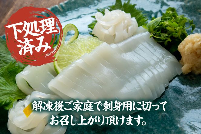 【先行予約】【刺身用白いかむき身　約350g 冷凍】令和7年6月以降順次発送予定 いか イカ 白いか 剣先イカ 刺身 新鮮 鮮度抜群 酒の肴 おつまみ 香美町 香住 宿院商店 22000円 33-32