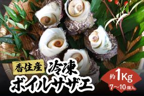 【ボイルサザエ　約1kg（7～10個）】冷凍さざえ 栄螺 海鮮 新鮮 鮮度抜群 酒の肴 おつまみ おかず 磯 夏休み BBQ バーベキュー キャンプ お盆 海 海水浴 日本海 香美町 香住 宿院商店 