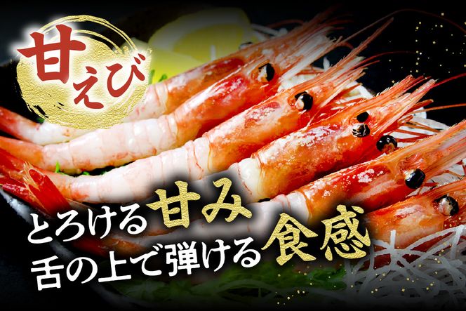 【お刺身セット 900g（甘えび、バイ貝、赤イカ 各300g）】冷凍 香住港 新鮮 お刺身 甘エビ バイ貝 赤いか 夕飯 晩酌 酒の肴 おもてなし 海老貝 イカ 兵庫県 香美町 香住 日本海 宿院商店