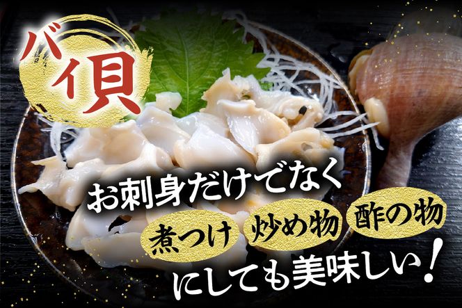 【お刺身セット 900g（甘えび、バイ貝、赤イカ 各300g）】冷凍 香住港 新鮮 お刺身 甘エビ バイ貝 赤いか 夕飯 晩酌 酒の肴 おもてなし 海老貝 イカ 兵庫県 香美町 香住 日本海 宿院商店