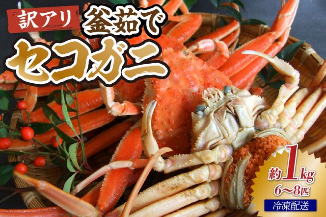 【先行予約】【兵庫県香住産 訳あり茹でセコガニ１ｋｇ 冷凍】令和７年11月より配送予定 カニの本場兵庫県香美町 香住漁港 せこがに かに 蟹 セコ 訳あり国産 刺身 しゃぶしゃぶ 焼きガニ 鍋 カニ鍋