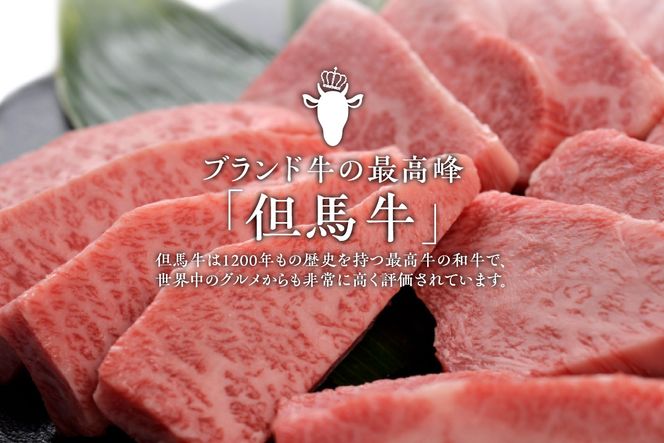 【但馬牛ランプステーキ・イチボステーキの食べ比べセット(4枚入り)合計500g】発送目安：入金確認後1ヶ月程度 配送日の指定はできません。 大人気 人気ふるさと納税 返礼品 おすすめ 73-05