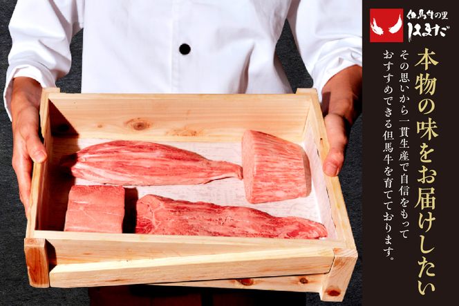 【但馬牛ランプステーキ・イチボステーキの食べ比べセット(4枚入り)合計500g】発送目安：入金確認後1ヶ月程度 配送日の指定はできません。 大人気 人気ふるさと納税 返礼品 おすすめ 73-05