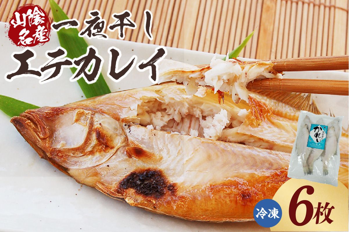 [山陰名産エテカレイ一夜干し 6枚(冷凍)]入金確認後、順次発送 産地直送 鮮度抜群 エテカレイ 干物 下処理不要 大人気 ふるさと納税 兵庫県 香美町 香住 山米鮮魚 74-11
