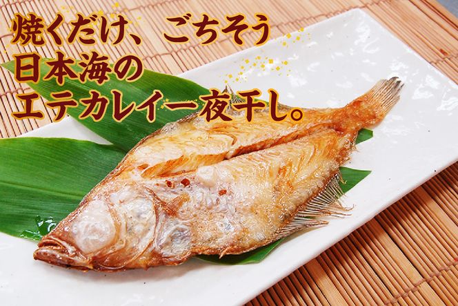 【山陰名産エテカレイ一夜干し 6枚（冷凍）】入金確認後、順次発送  産地直送 鮮度抜群 エテカレイ 干物 下処理不要 大人気 ふるさと納税 兵庫県 香美町 香住 山米鮮魚 74-11