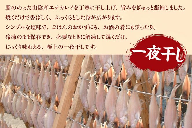 【山陰名産エテカレイ一夜干し 6枚（冷凍）】入金確認後、順次発送  産地直送 鮮度抜群 エテカレイ 干物 下処理不要 大人気 ふるさと納税 兵庫県 香美町 香住 山米鮮魚 74-11