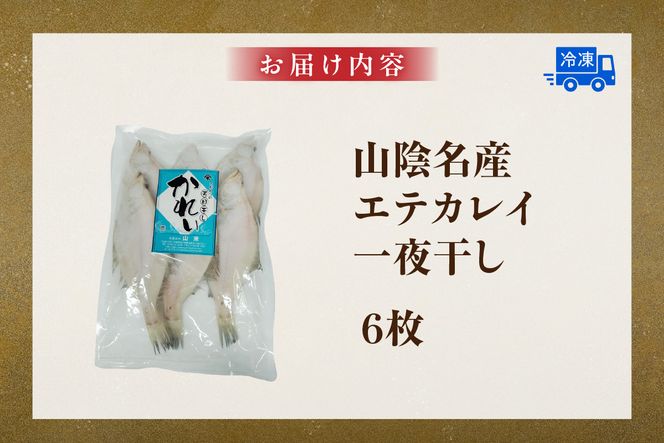 【山陰名産エテカレイ一夜干し 6枚（冷凍）】入金確認後、順次発送  産地直送 鮮度抜群 エテカレイ 干物 下処理不要 大人気 ふるさと納税 兵庫県 香美町 香住 山米鮮魚 74-11