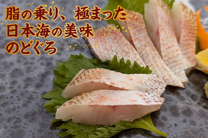 【山陰沖 お刺身用あぶりノドグロ 2パック 高級魚 アカムツ 生食用（冷凍）】入金確認後、順次発送  産地直送 鮮度抜群 下処理不要 お刺身用 炙り ふるさと納税 兵庫県 香美町 香住 74-15